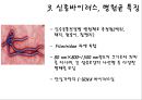최근 유행한 신종바이러스 (메르스,사스,조류인플루엔자,인플루엔자,SFTS,에볼라,ebola,살인진드기)관련 12페이지