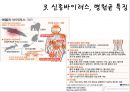 최근 유행한 신종바이러스 (메르스,사스,조류인플루엔자,인플루엔자,SFTS,에볼라,ebola,살인진드기)관련 13페이지