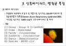 최근 유행한 신종바이러스 (메르스,사스,조류인플루엔자,인플루엔자,SFTS,에볼라,ebola,살인진드기)관련 14페이지