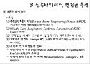 최근 유행한 신종바이러스 (메르스,사스,조류인플루엔자,인플루엔자,SFTS,에볼라,ebola,살인진드기)관련 15페이지