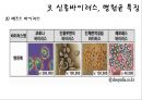 최근 유행한 신종바이러스 (메르스,사스,조류인플루엔자,인플루엔자,SFTS,에볼라,ebola,살인진드기)관련 16페이지