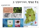 최근 유행한 신종바이러스 (메르스,사스,조류인플루엔자,인플루엔자,SFTS,에볼라,ebola,살인진드기)관련 22페이지