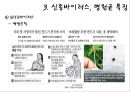 최근 유행한 신종바이러스 (메르스,사스,조류인플루엔자,인플루엔자,SFTS,에볼라,ebola,살인진드기)관련 23페이지