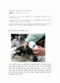 [발표와 토의 사업기획안] QR코드 목줄 사업기획서 (반려동물,애완동물) 17페이지