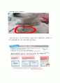[발표와 토의 사업기획안] QR코드 목줄 사업기획서 (반려동물,애완동물) 26페이지