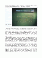 영화 “엘리펀트 (Elephant) 2003”속 청소년의 품행장애 분석 - 영화 엘리펀트 줄거리와 등장인물 분석 및 실화 소개 & 품행장애의 정의, 특성, 문제점과 진단, 치료 및 교육적 개입 방안 18페이지