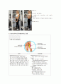 웨이트 트레이닝 (Weight Training) 부위별 운동 방법 16페이지