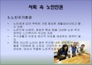 [노인복지론] 노인과 인권(노인 인권) - 노인 인권 침해사례, 노인 인권의 개념, 인권의 정의, 노인 인권 관련 정책, 노인 인권 개선방안, 노인 인권 과제.ppt 13페이지