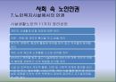 [노인복지론] 노인과 인권(노인 인권) - 노인 인권 침해사례, 노인 인권의 개념, 인권의 정의, 노인 인권 관련 정책, 노인 인권 개선방안, 노인 인권 과제.ppt 18페이지