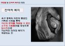 구빈법 Theories of Welfare States - 영국 구빈법의 발전과 특징, 구민법의 배경, 구민법의 시사점.pptx
 5페이지