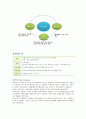 친환경 도시(N City) 만들기 프로젝트(N-city의 개념, 친환경 도시 만들기, N City의 방향, N-City 만들기, N City 사례) 11페이지