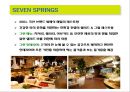삼양 세븐스프링스(SEVENSPRINGS )마케팅 전략.pptx 3페이지