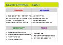삼양 세븐스프링스(SEVENSPRINGS )마케팅 전략.pptx 4페이지