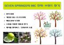 삼양 세븐스프링스(SEVENSPRINGS )마케팅 전략.pptx 7페이지