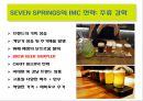 삼양 세븐스프링스(SEVENSPRINGS )마케팅 전략.pptx 9페이지