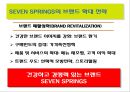 삼양 세븐스프링스(SEVENSPRINGS )마케팅 전략.pptx 17페이지