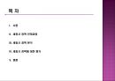 [세종시 정책] 정책 전개과정,세종시 정책 과정, 세종시 정책 분석, 세종시 정책 평가, 세종시 정책 전망 2페이지