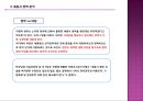 [세종시 정책] 정책 전개과정,세종시 정책 과정, 세종시 정책 분석, 세종시 정책 평가, 세종시 정책 전망 13페이지