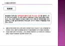 [세종시 정책] 정책 전개과정,세종시 정책 과정, 세종시 정책 분석, 세종시 정책 평가, 세종시 정책 전망 18페이지