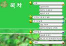 [정책 평가] 그린카드 사업의 실효성 연구_환경 거버넌스적 측면을 중심으로, 정책 연구, 정책 평가, 정책 실효성,연구의 중요성 2페이지