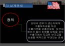 [미국의 통상정책 분석] 미국의 통상정책, 미국의 통상 수단, 미국의 통상 분쟁, 미국의 통상 분쟁 사례.pptx 17페이지