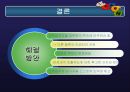 [정책학원론] 고위공무원단제도 - 고위공무원단제도 분석, 고위공무원단제도 내용, 고위공무원단제도 문제점, 고위공무원단제도 외국 사례, 고위공무원단제도 전망.ppt 21페이지
