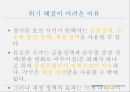 유로화(Euro)와 유럽경제 - 유로화 위기에 대한 분석과 문제점 해결방안.pptx 23페이지