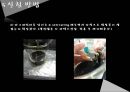 나노물질 및 실험 자성유체 Synthesis of Aqueous Ferrofluid : 액체자석인  Aqueous Ferrofluid를 합성해보고 그 합성물질의 성질 및 특성을 알아본다.pptx 23페이지