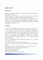공무원(公務員)의 승급(Pay increase within grade ; 승진) - 공무원 승급의 의의와 기준, 승진(승급)의 종류 2페이지