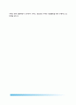 외국의 생활안전경찰 - 미국 생활안전경찰 & 일본 생활안전경찰(국가경찰, 도도부현 경찰) 4페이지