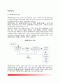 계획예산제도 (planning programming budgeting system: PPBS) 계획예산제도 개념과 특징 및 한계 2페이지