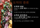 [도박중독] 도박 중독의 정의, 도박 중독의 원인, 도박 중독 현황, 도박 중독 치료방안,도박 5페이지