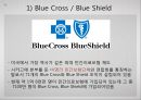 [미국美國사적 보험 분석] 미국 사적 보험, 미국 사보험, 미국의 의료기관 및 관리기구, 급여내용, 지불보수 방법, 민간의료보험 특징 19페이지