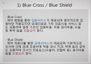 [미국美國사적 보험 분석] 미국 사적 보험, 미국 사보험, 미국의 의료기관 및 관리기구, 급여내용, 지불보수 방법, 민간의료보험 특징 20페이지
