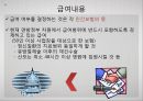 [미국美國사적 보험 분석] 미국 사적 보험, 미국 사보험, 미국의 의료기관 및 관리기구, 급여내용, 지불보수 방법, 민간의료보험 특징 29페이지