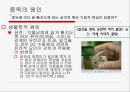 [성인成人의 다양한 중독] 중독의 개념, 중독의 원인, 성인기 중독의 심각성, 성인 중독 문제점, 중독 치료 방안 8페이지