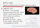 [성인成人의 다양한 중독] 중독의 개념, 중독의 원인, 성인기 중독의 심각성, 성인 중독 문제점, 중독 치료 방안 9페이지