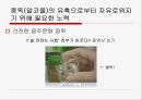 [성인成人의 다양한 중독] 중독의 개념, 중독의 원인, 성인기 중독의 심각성, 성인 중독 문제점, 중독 치료 방안 27페이지