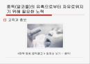 [성인成人의 다양한 중독] 중독의 개념, 중독의 원인, 성인기 중독의 심각성, 성인 중독 문제점, 중독 치료 방안 29페이지