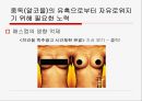[성인成人의 다양한 중독] 중독의 개념, 중독의 원인, 성인기 중독의 심각성, 성인 중독 문제점, 중독 치료 방안 30페이지