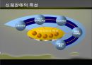 ★우수자료★[신체장애身體障 음악치료] 신체장애 현황, 신체장애 원인, 신체장애 분류, 신체 장애의 치료, 음악치료 적용 10페이지