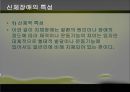 ★우수자료★[신체장애身體障 음악치료] 신체장애 현황, 신체장애 원인, 신체장애 분류, 신체 장애의 치료, 음악치료 적용 12페이지