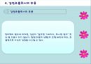 ★★평가우수자료★★[동작치료] 무용/동작 치료 접근법 - 동작치료의 대상, 동작치료 효과, 동작치료 특징, 동작치료 치료과정, 라반의 동작 분석법, 정서에 따른 치료 방법, 하프린의 프로그램 실례.ppt 9페이지