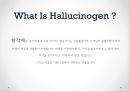 ★★평가우수자료★[Hallucinogen, 환각제] 환각제 개념, 환각제 실태, 환각제 사례, 문제점, 환각제 중독 치료방안.pptx 2페이지