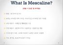 ★★평가우수자료★[Hallucinogen, 환각제] 환각제 개념, 환각제 실태, 환각제 사례, 문제점, 환각제 중독 치료방안.pptx 14페이지