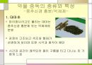 ★★평가우수자료★★[약물중독] 약물중독 정의, 약물중독 증상, 약물중독 특성, 약물중독 종류, 약물중독 진단, 약물중독 치료,약물중독의 진단(DSM-IV)
 16페이지