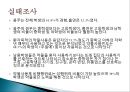 ★★평가우수자료★★[중독 치료]중독의 개념, 다양한 종류의 중독과 중독의 원인 분석 및 치료 방안★★평가우수자료★★ 22페이지