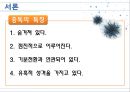 ★★평가우수자료★★[여러 다양한 중독] 중독 개념, 게임중독, 약물중독, 도박중독, 성 중독, 문제점, 중독의 원인, 중독 해결방안중독, 4페이지