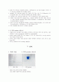 DNA 추출 및 PCR 4페이지