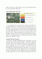 [색채치료/色彩治療/Color Therapy] 자아존중감이 부족한 대학생의 색채심리치료 - 대학생의 색채증상, 색채심리치료프로그램을 적용하기 전 모습과 적용과정 및 적용한 후 모습 5페이지
